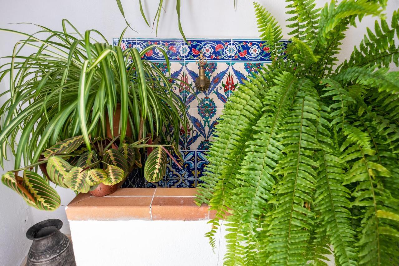 La Casa Del Agua Villa Вехер де ла Фронтера Екстериор снимка